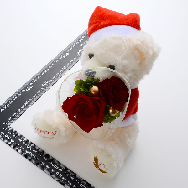 クリスマス プリザーブドフラワー&サンタのハッピーテディベア