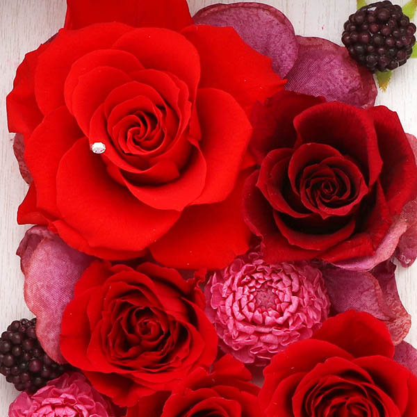 メッセージギフト ホワイトレッド