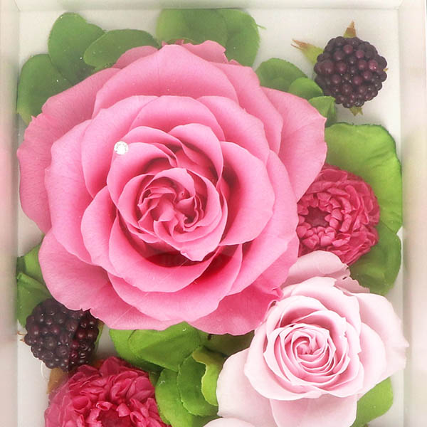 メッセージギフト ブラックピンク