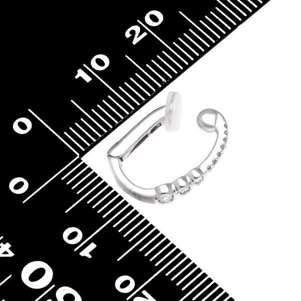 プラチナクリップイヤリング