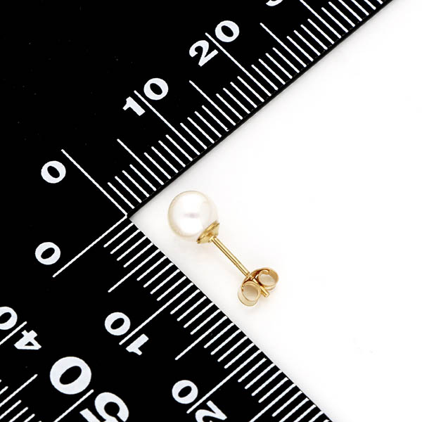 ゴールドフィルドピアス