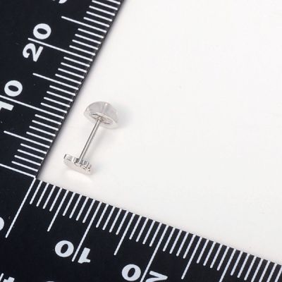 プラチナピアス