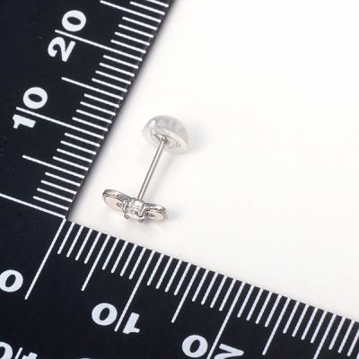 プラチナピアス