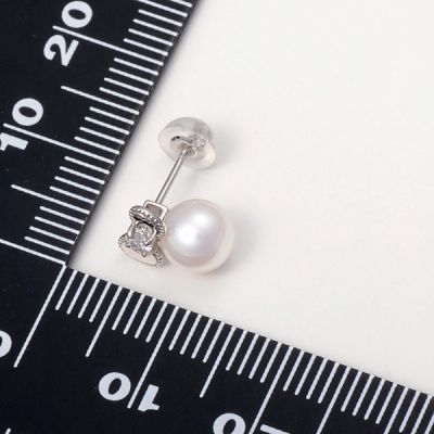 プラチナピアス