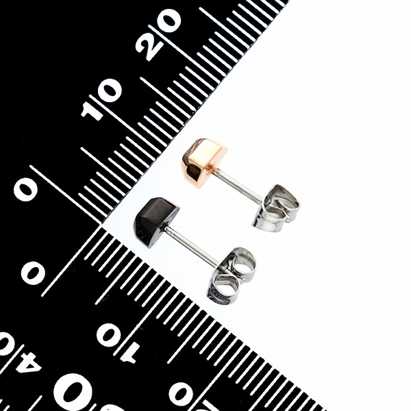 ステンレスペアピアス