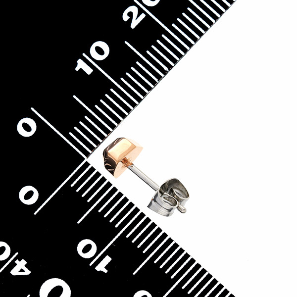 ステンレスピアス