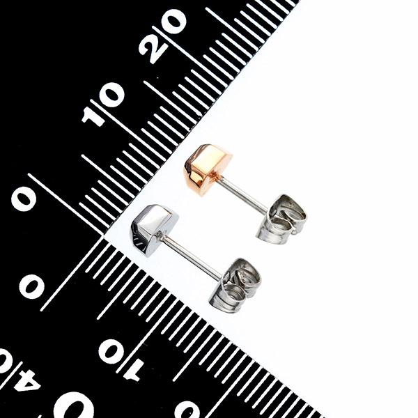 ステンレスペアピアス