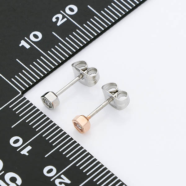 ステンレスピアス