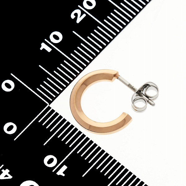 ステンレスペアピアス