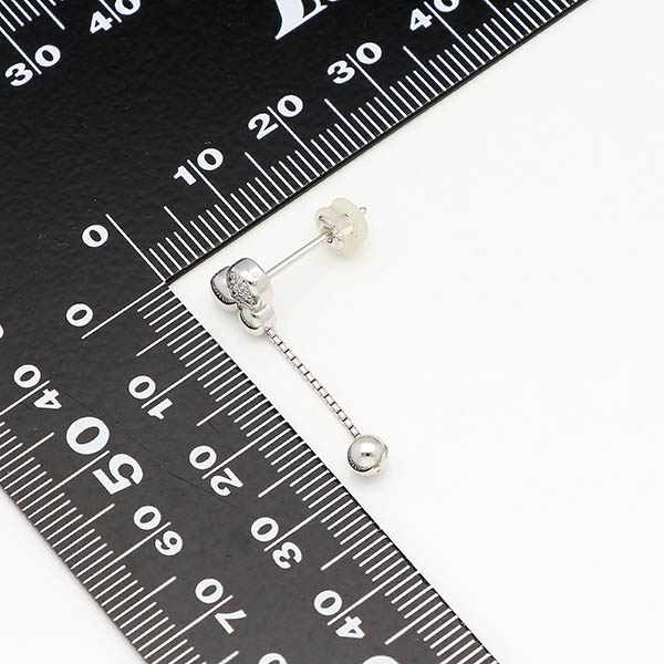 プラチナピアス