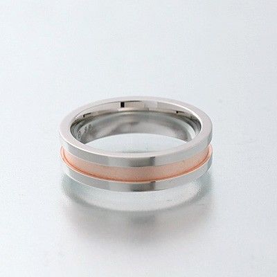 ステンレスペアリング