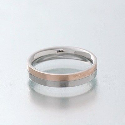 ステンレスペアリング