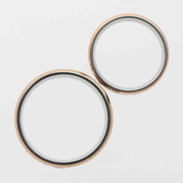 ステンレスペアリング