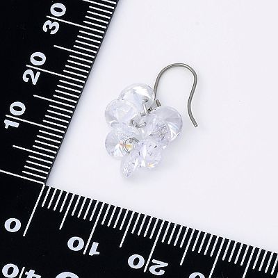 チタンフックピアス