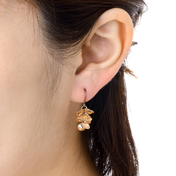 チタンフックピアス