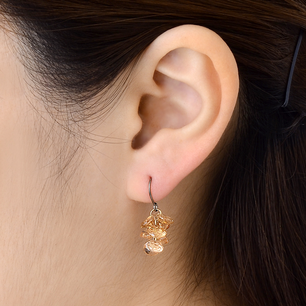 チタンフックピアス