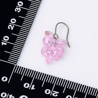 チタンフックピアス