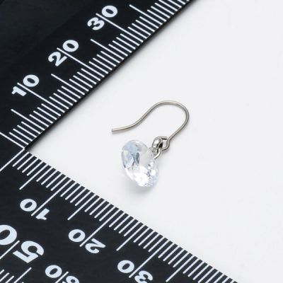 純チタンフックピアス