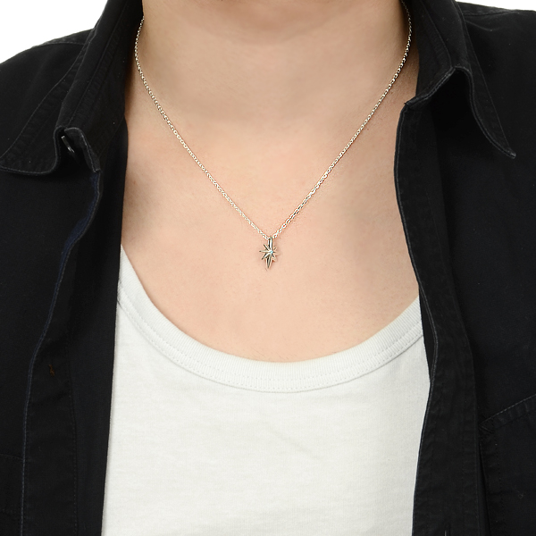 シルバーペアネックレス