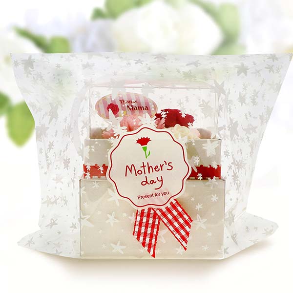 母の日 シルバーネックレス フラワーボックス セット 「Thanks Mama」ピック付