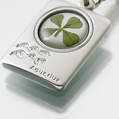 携帯ストラップ(みずがめ座)