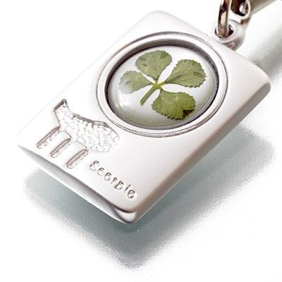 携帯ストラップ(さそり座)