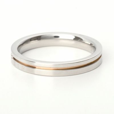 ステンレスペアリング