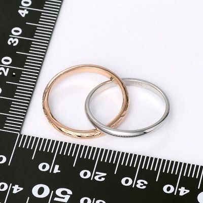 ステンレスペアリング