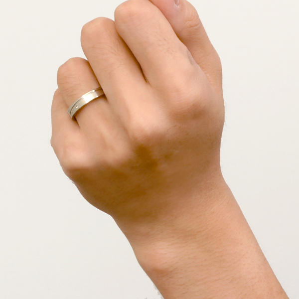 ステンレスペアリング