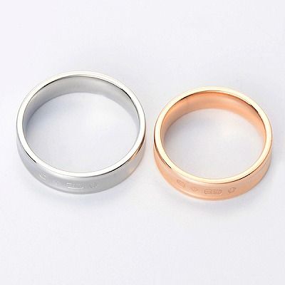 ステンレスペアリング