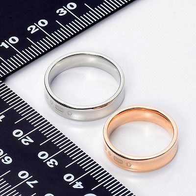 ステンレスペアリング