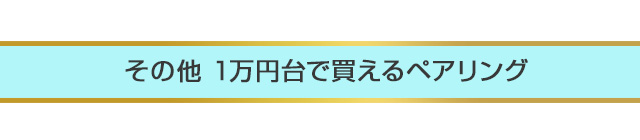 その他1万円で買えるペアリング