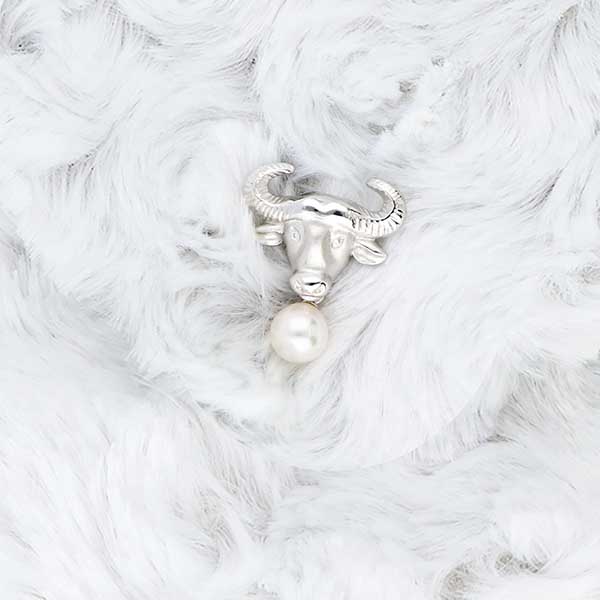 シルバーブローチ