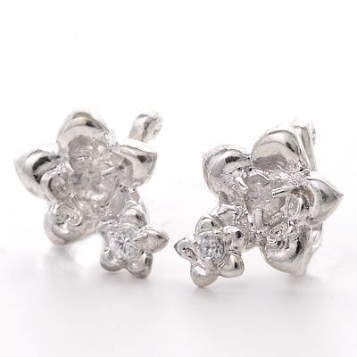 シルバーイヤリング