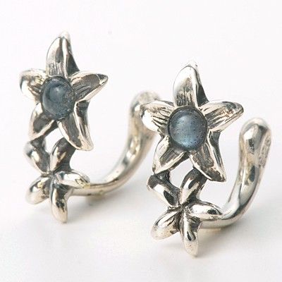 シルバーイヤリング