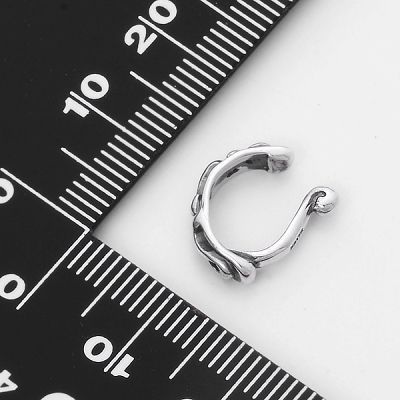 シルバーイヤリング