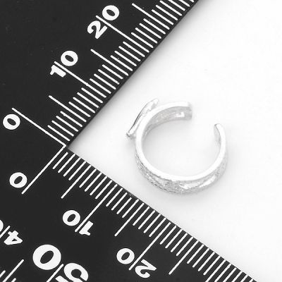 シルバーイヤリング