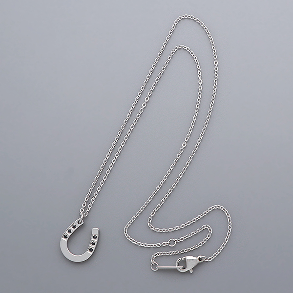 ステンレスペアネックレス