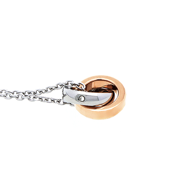 ステンレスペアネックレス