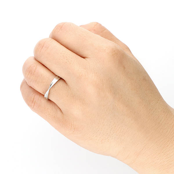 ステンレスペアリング